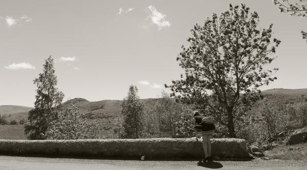 Mistral