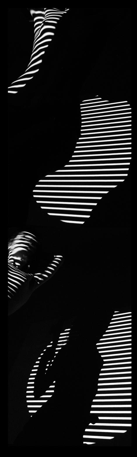 Shapes of things